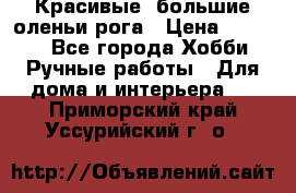 Красивые  большие оленьи рога › Цена ­ 3 000 - Все города Хобби. Ручные работы » Для дома и интерьера   . Приморский край,Уссурийский г. о. 